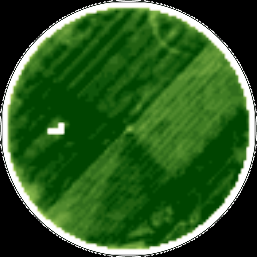 Field without automation